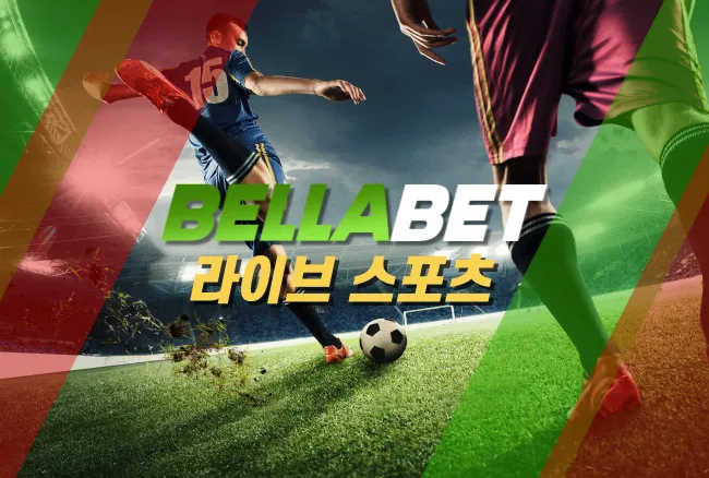 벨라벳 이용 가이드: 알아두면 좋은 정보와 확인 포인트